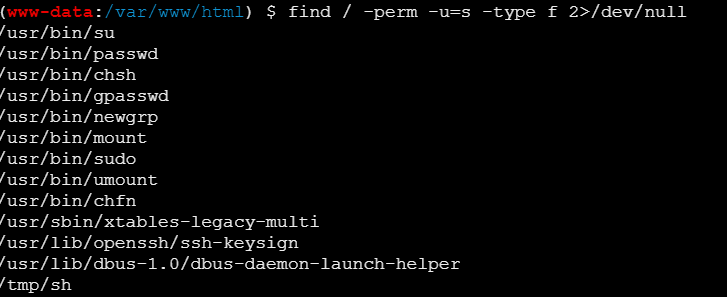 image-20250402174738541