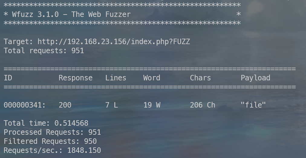 wfuzz测试结果